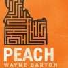 Stereo Embers The Podcast 0062: Wayne Barton (Peach, Fergie's Fledglings, 74/75))