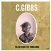 Stereo Embers The Podcast 0236: C. Gibbs (Modern English, Foetus, Lucinda Blackbear)