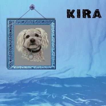 Stereo Embers The Podcast 0244: Kira Roessler (Black Flag, Dos)
