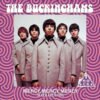 Dennis Tufano: The Original Voice of The Buckinghams and Beyond