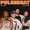 Pulsebeat #480