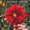 Stereo Embers The Podcast 0513: Pete Yorn